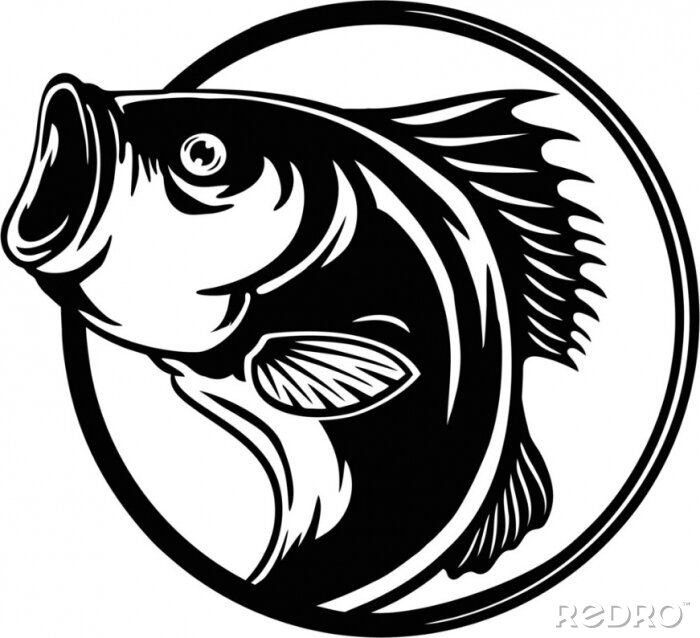 ryba